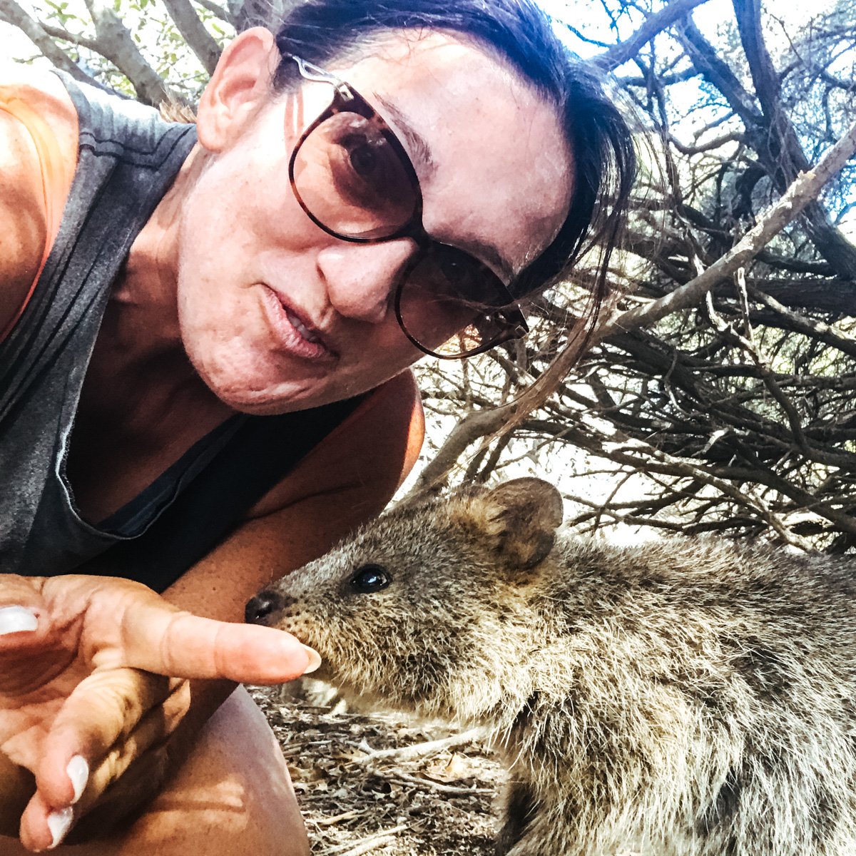 Day trip to Rottnest island