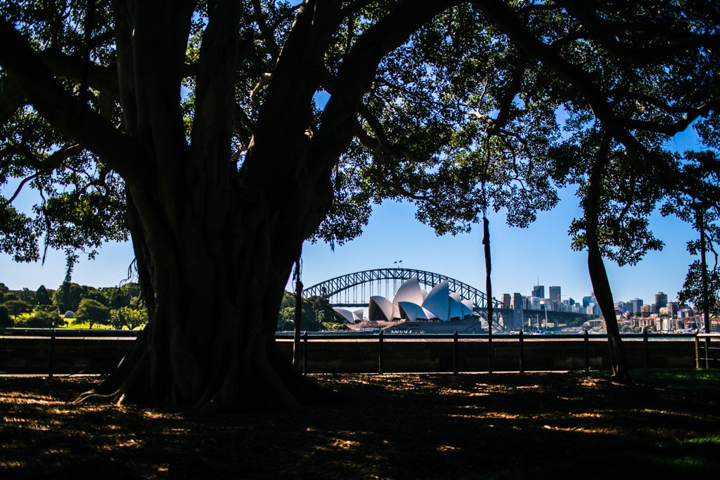 Sydney lookouts