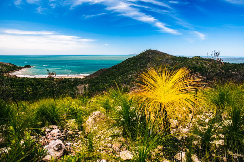 Hinchinbrook Island in Queensland