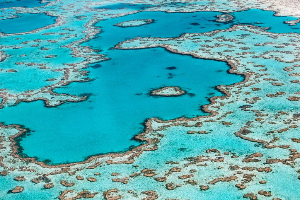 reef world whitsundays