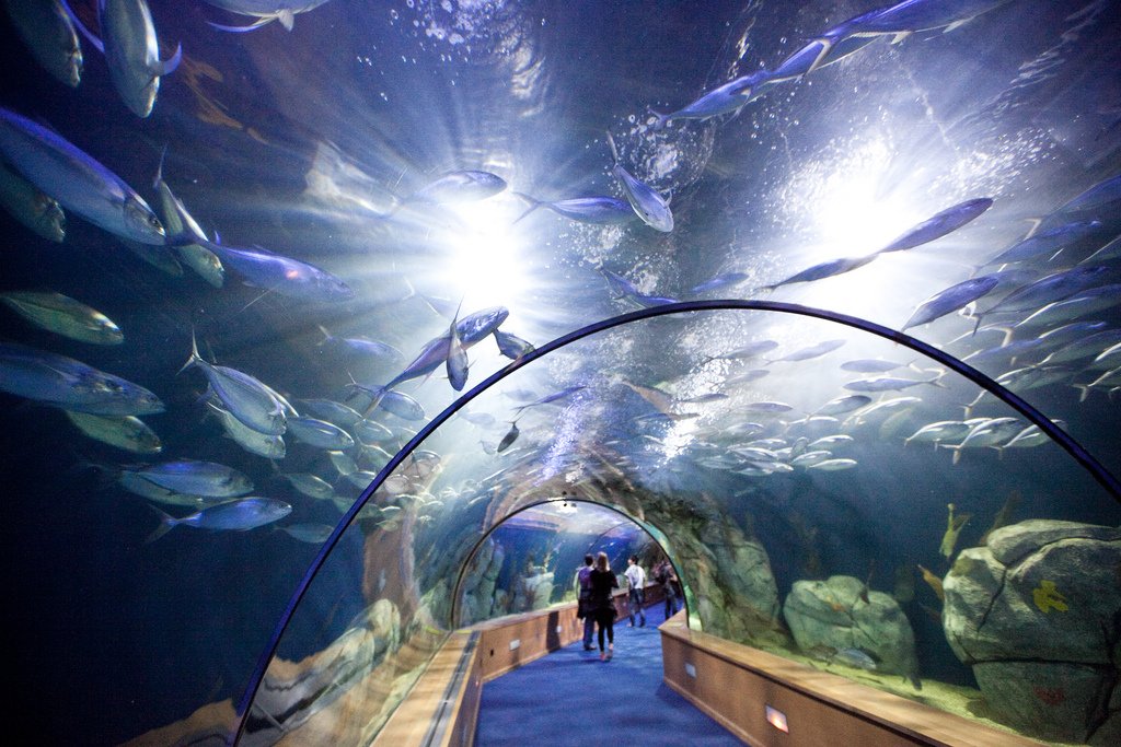 L'Oceanografic at La Ciudad de las Artes y las Ciencias in Valencia, Spain