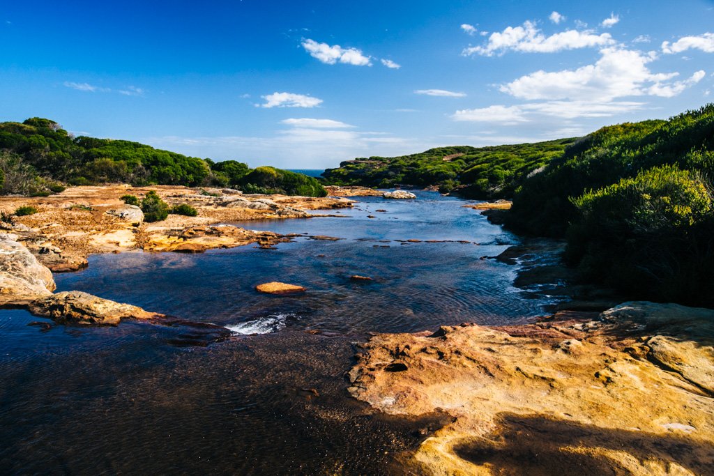 Royal National Park walks