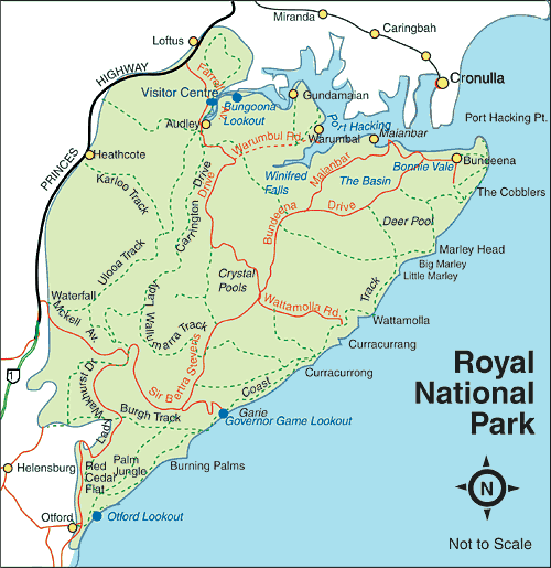 royal national park coastal walk
