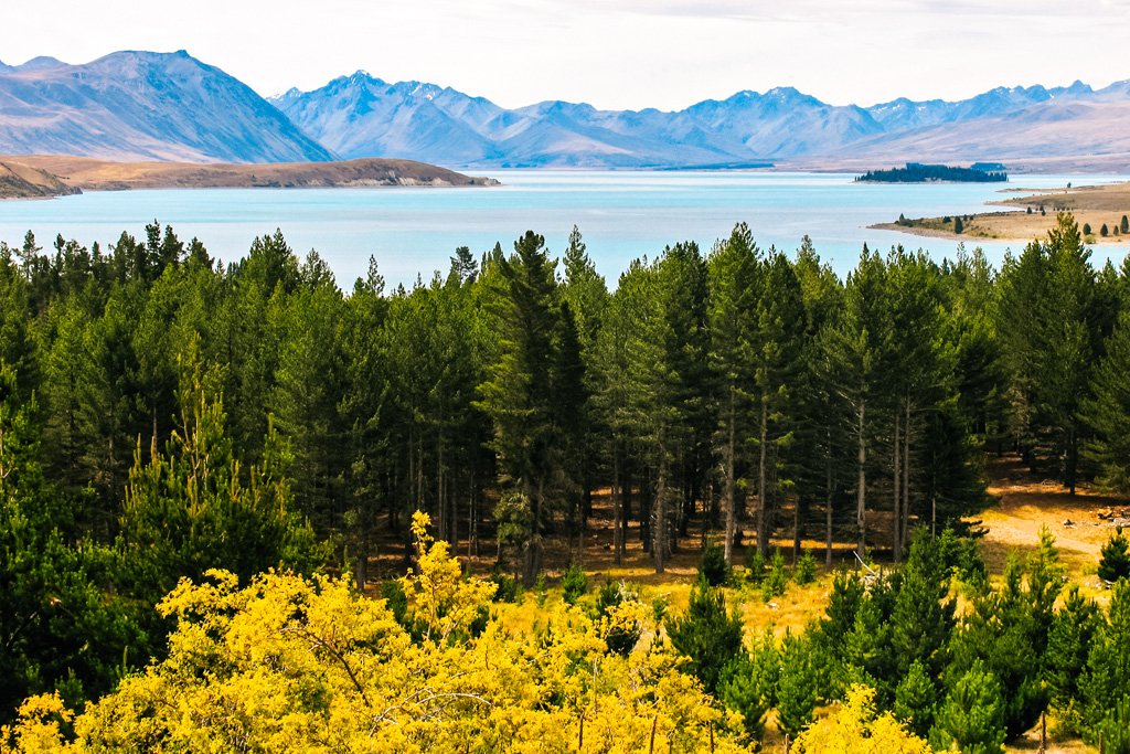 Lake Tekapo NZ