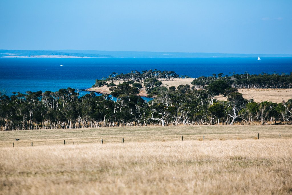 phillip island caravan park