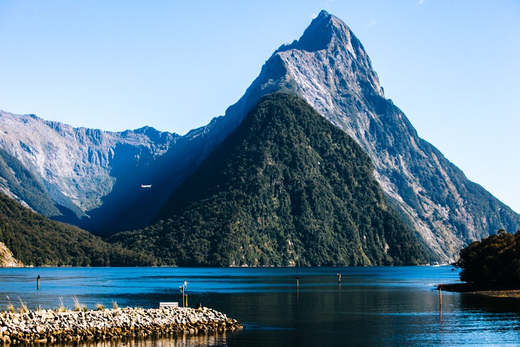 milford sound cruise