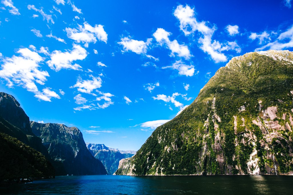 milford sound boat