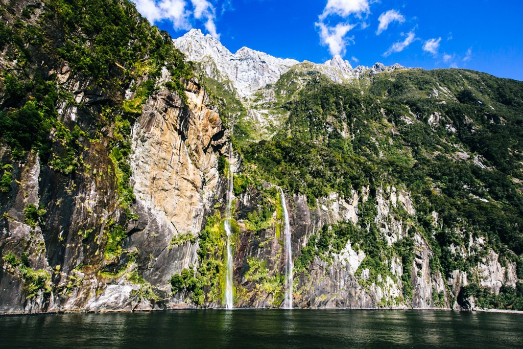 milford sound cruise