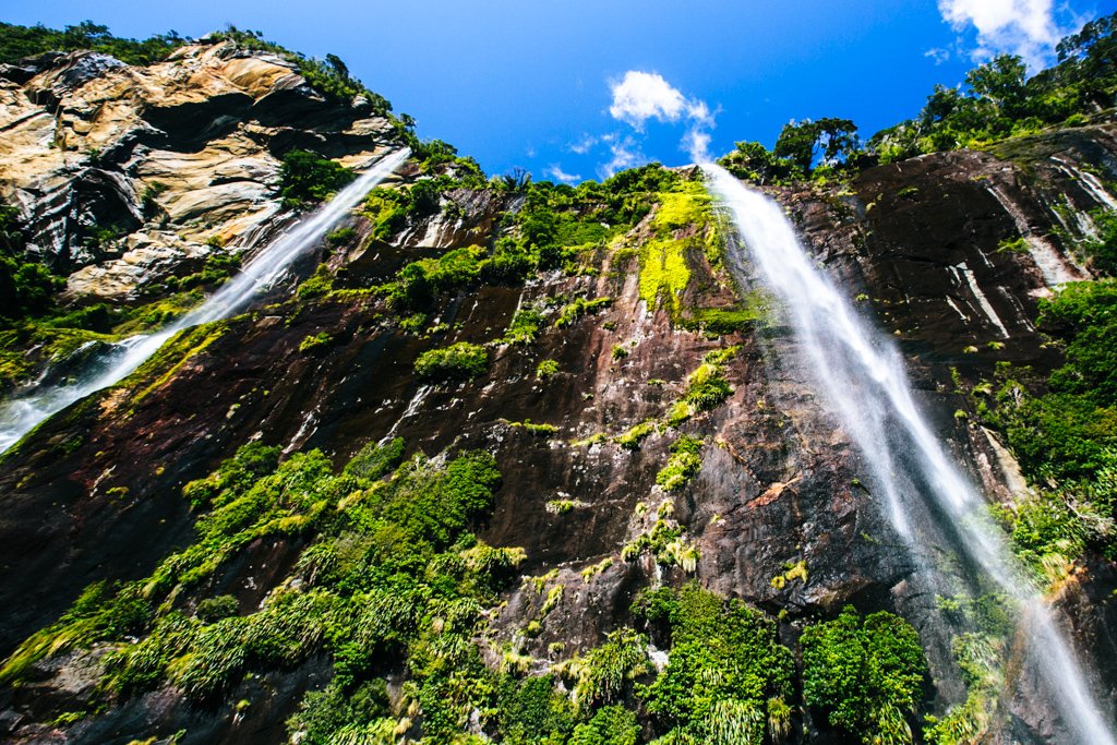 milford sound tour