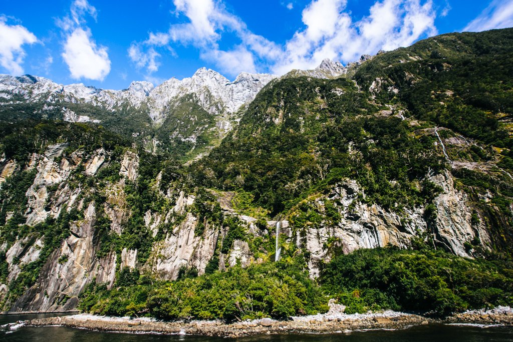 milford sound tour