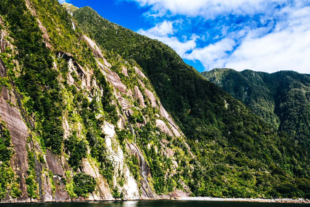 milford sound tour