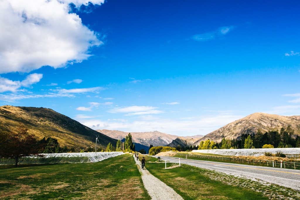 queenstown vineyards