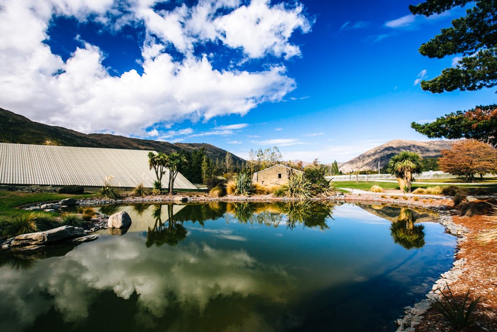 queenstown vineyards