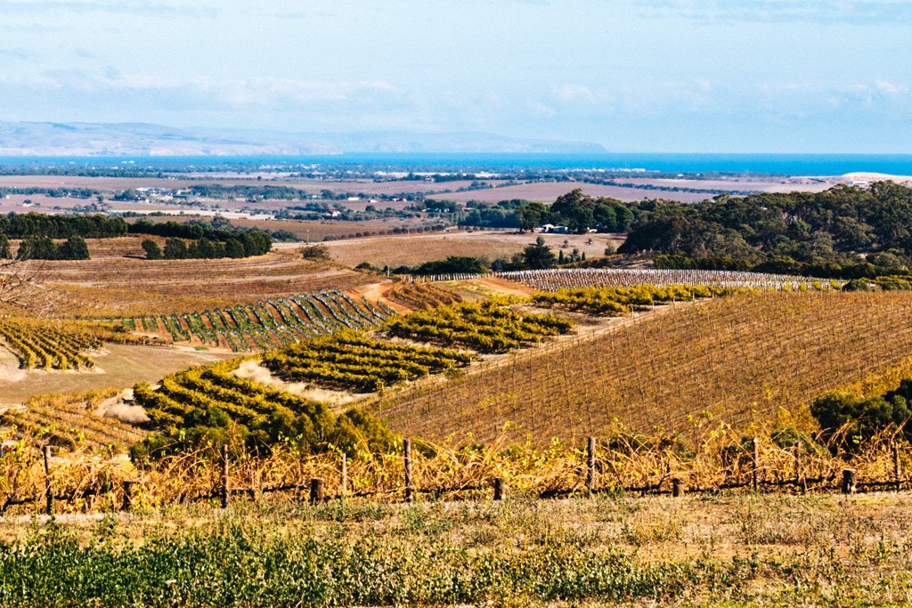 mclaren vale wine