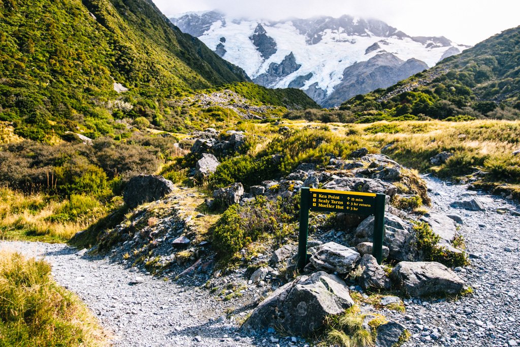 mueller hut trailhead