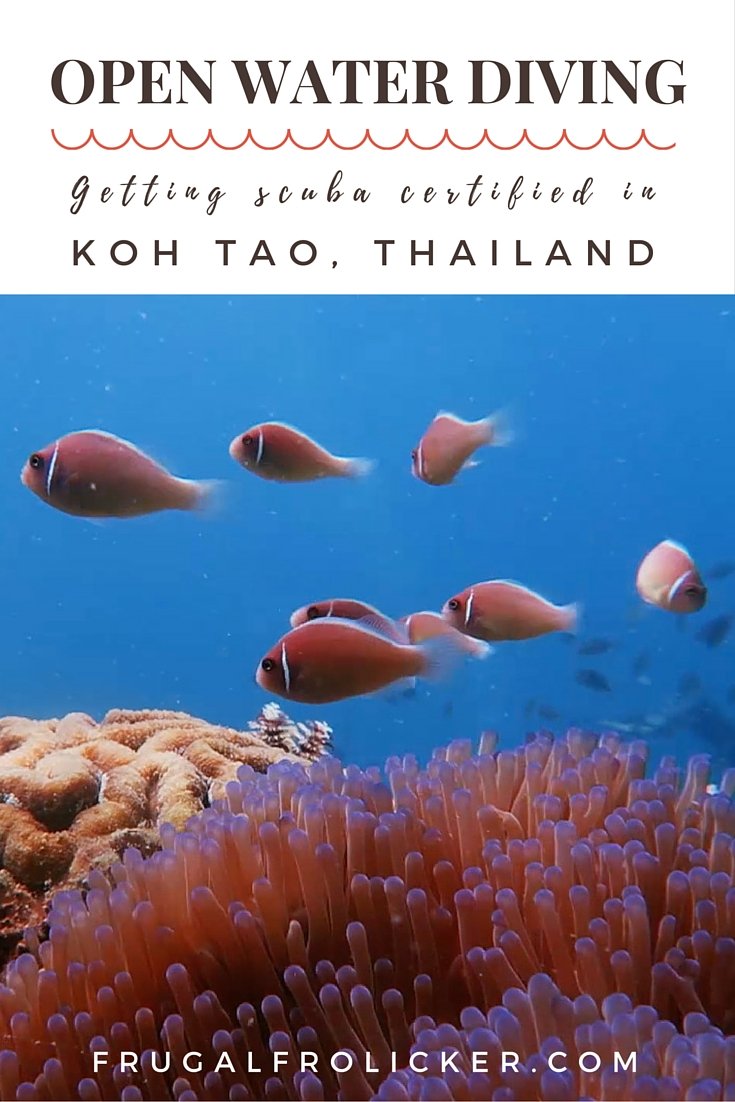 Open Water Diving Course in Koh Tao