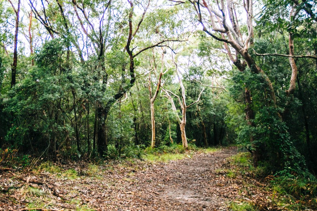 cronulla walk