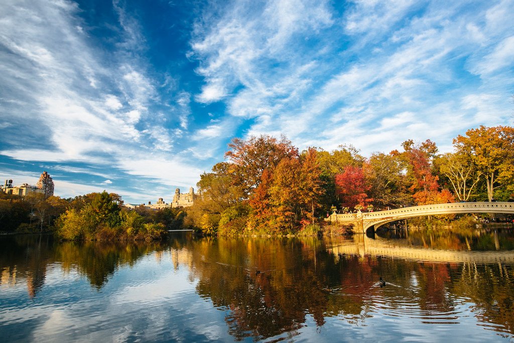 Central Park fall