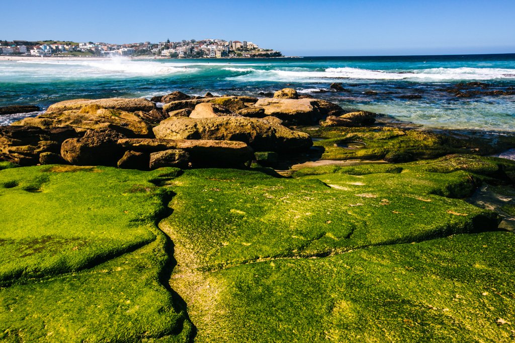 bondi beach