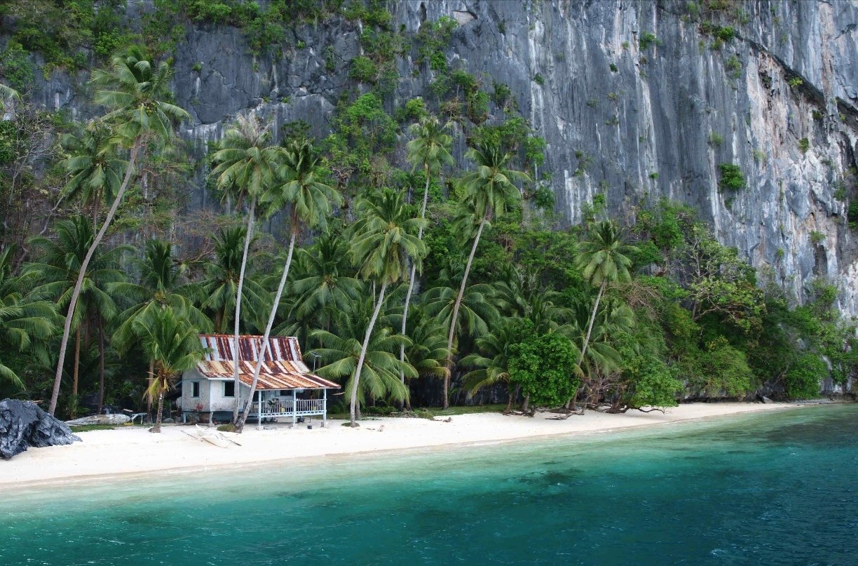 el nido