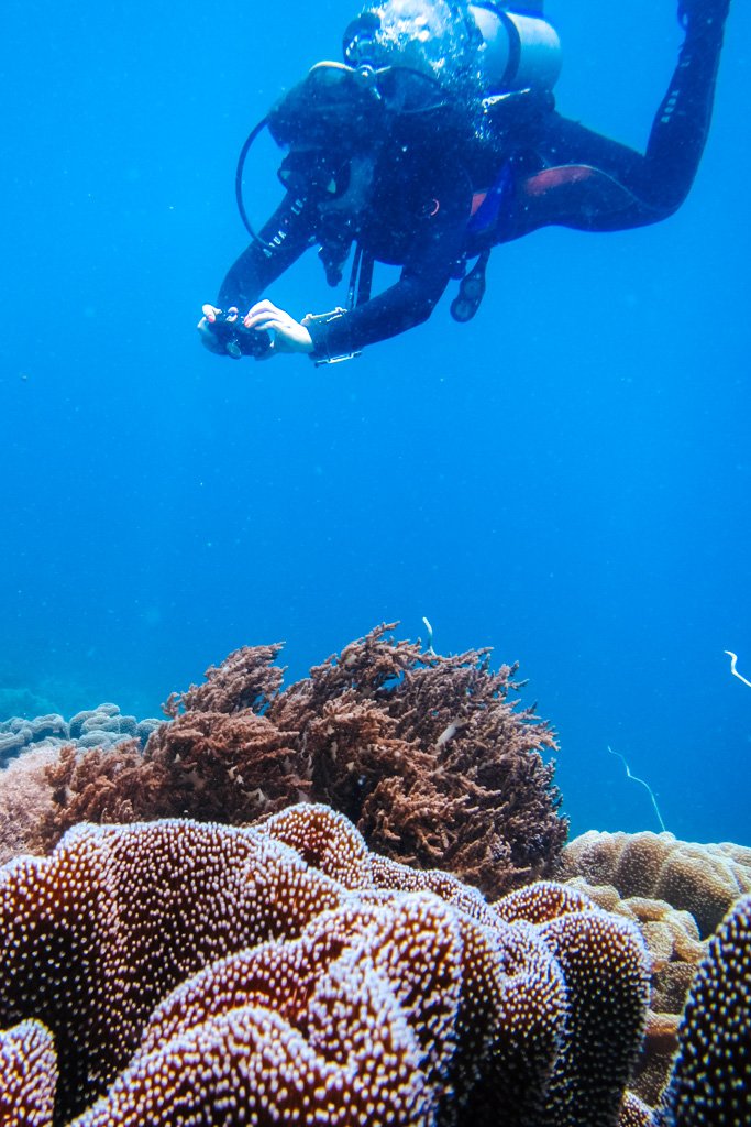 advanced open water diving course malapascua