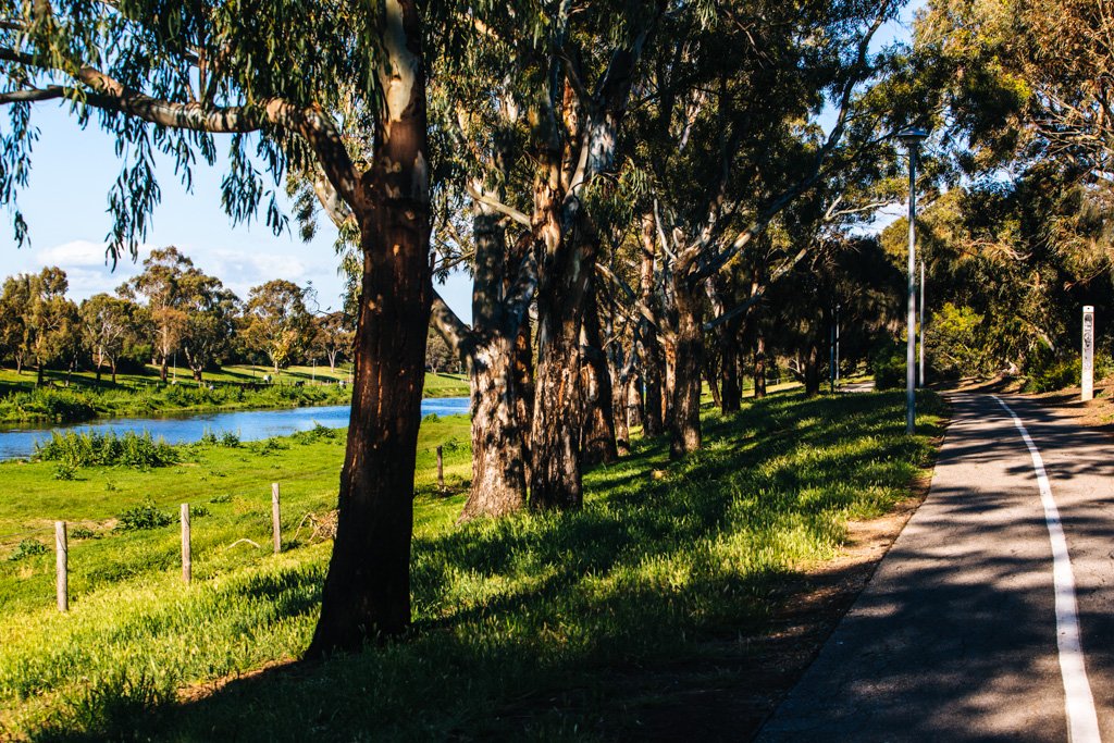 adelaide cycling