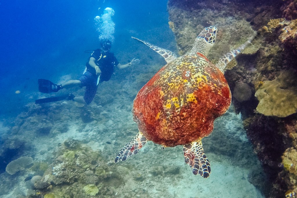 el nido travel blog