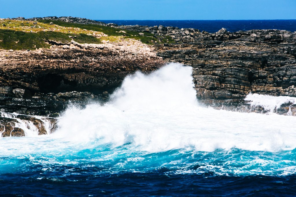 what to do on kangaroo island