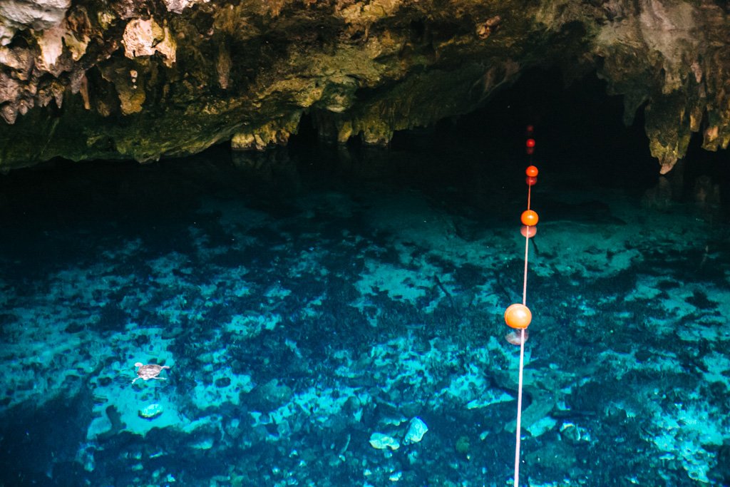 snorkel cenote tulum