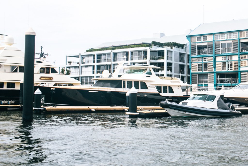 sydney harbour cruises