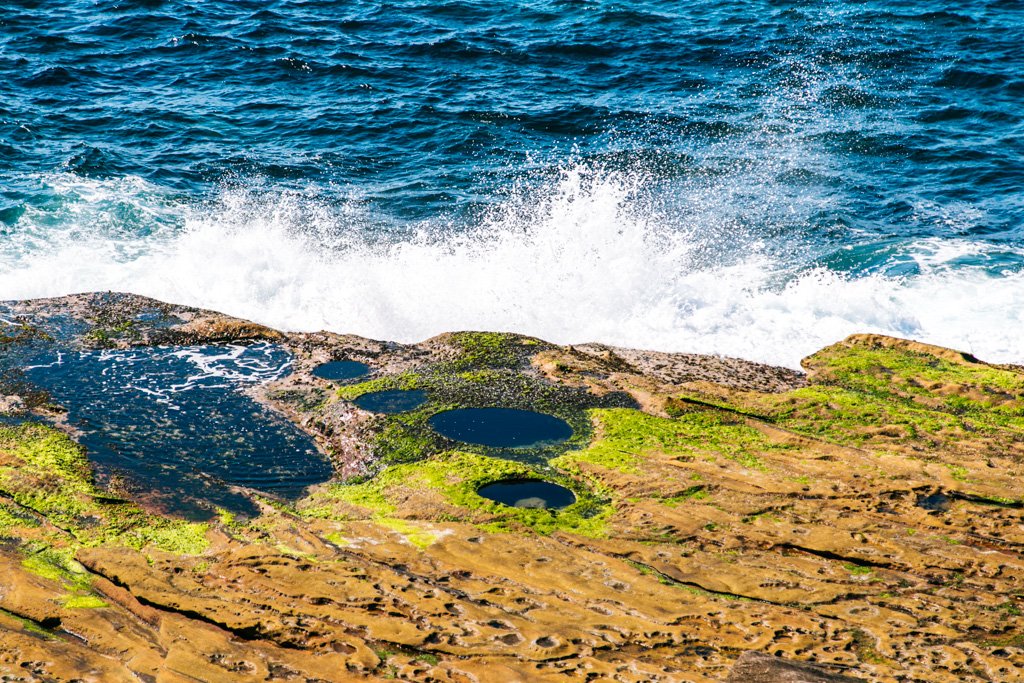 maroubra to coogee coastal walk