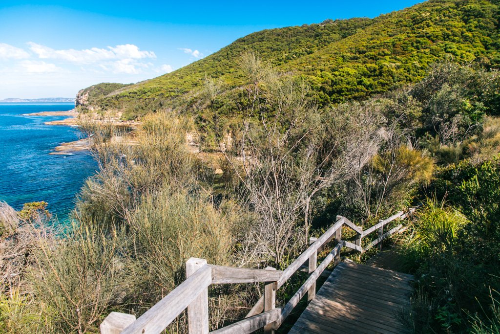 Bouddi coastal walk