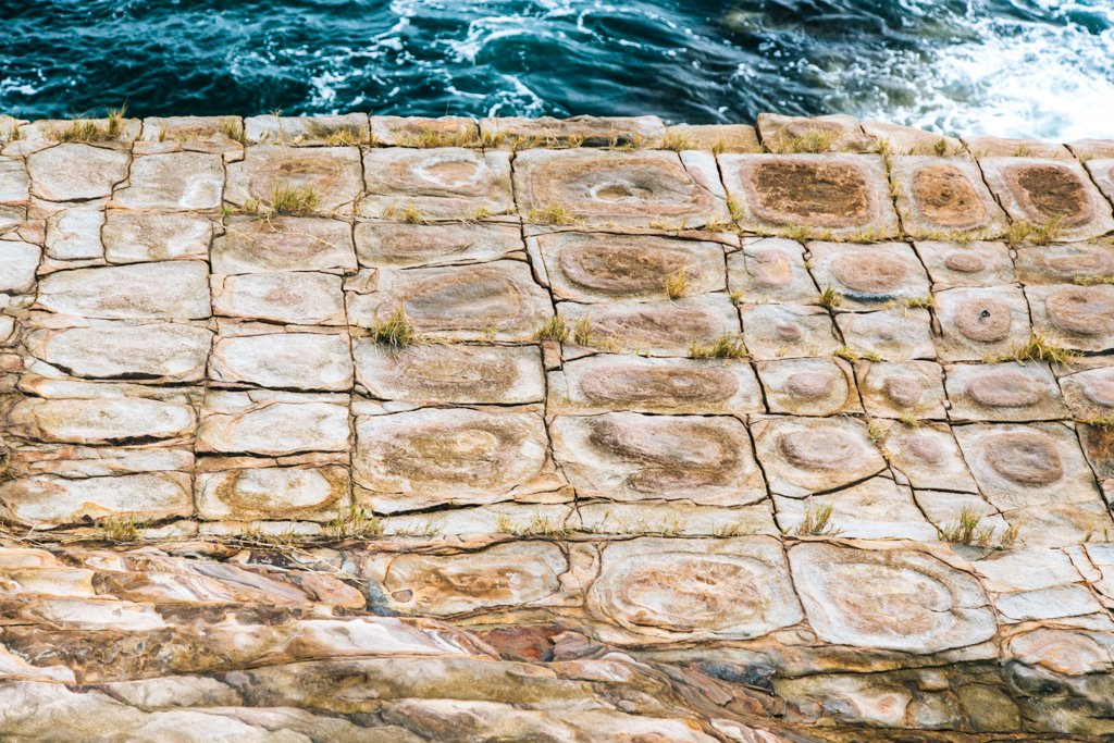 bouddi national park