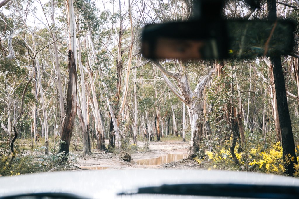 blue mountains 4wd tracks