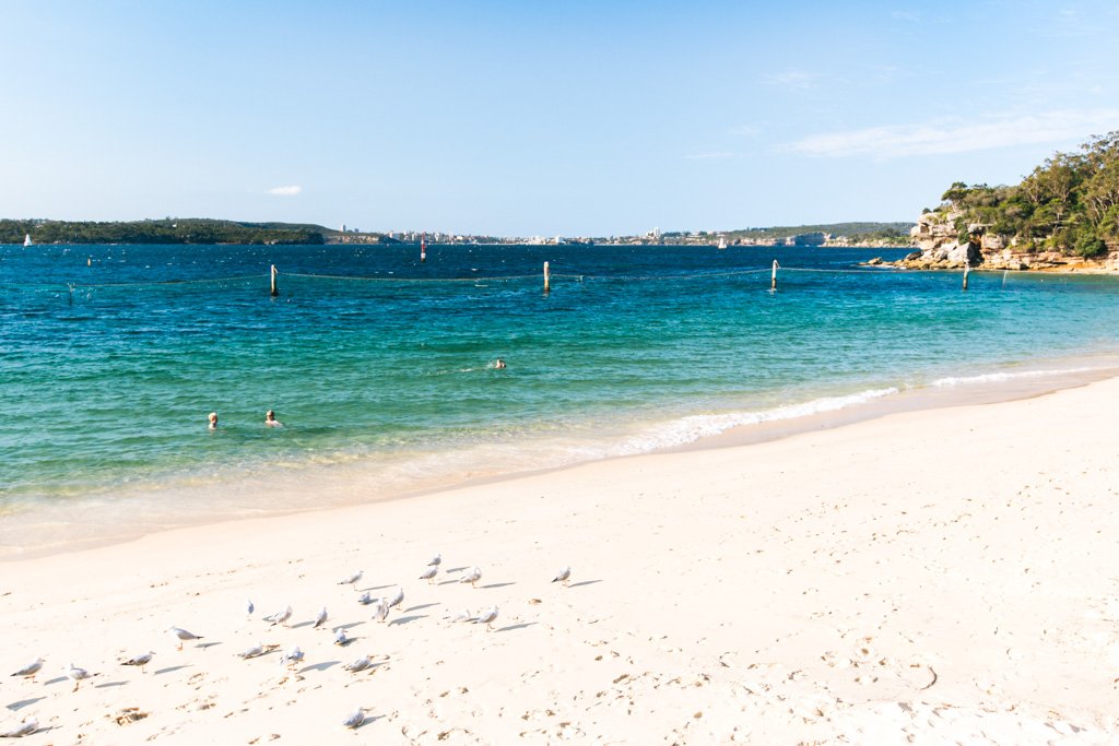 shark beach sydney