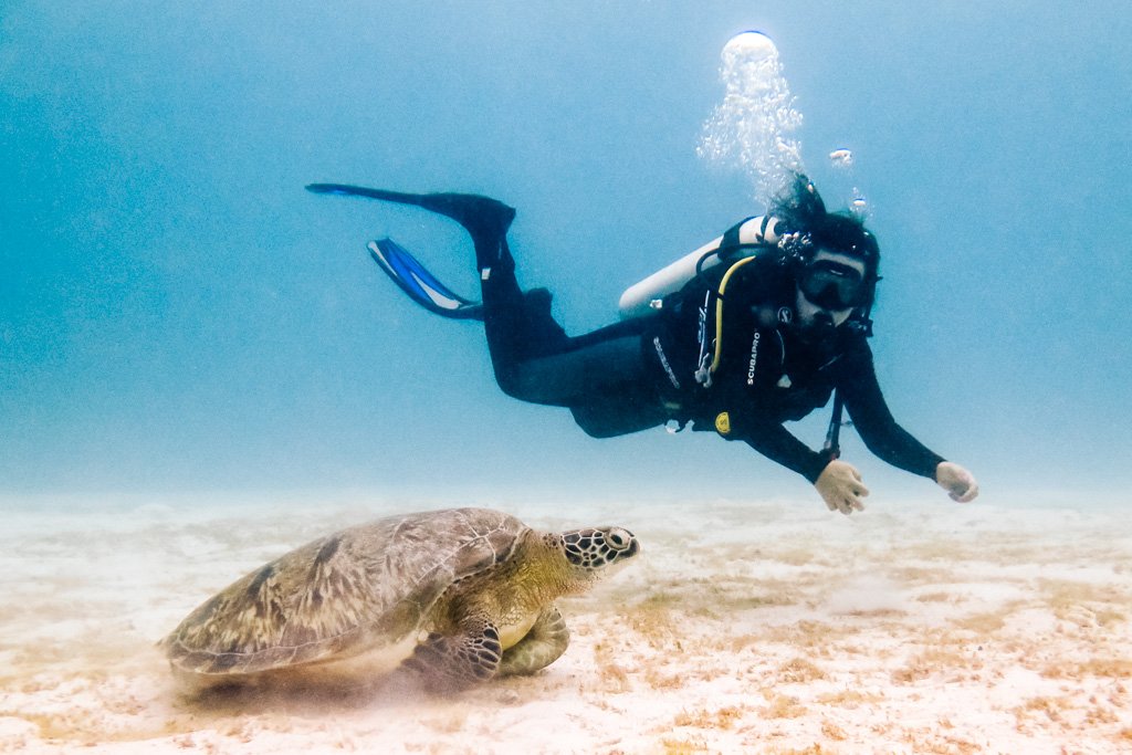 komodo diving