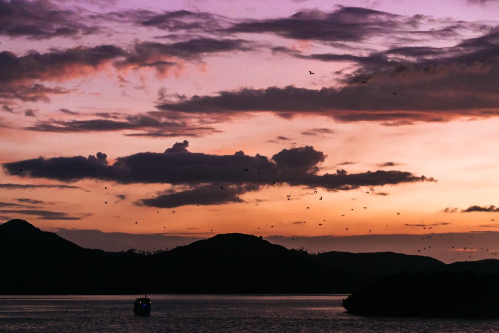 komodo bat island