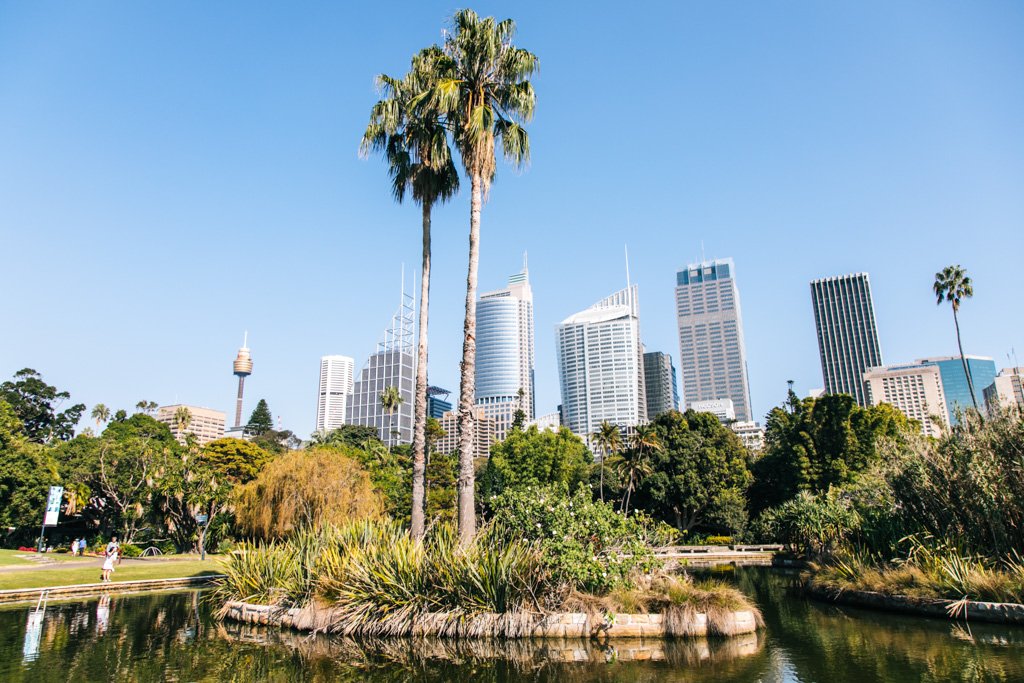 sydney botanic garden