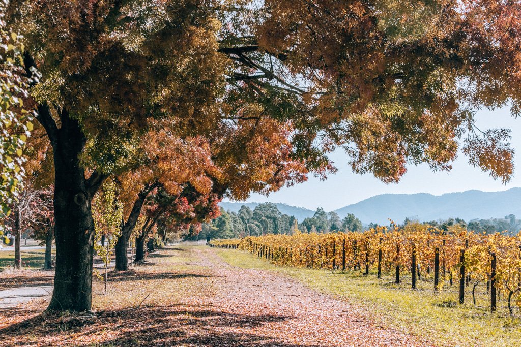 high country victoria road trip