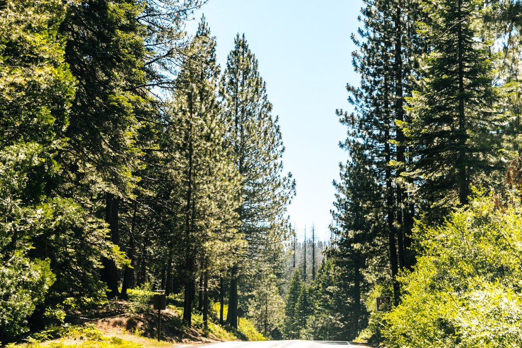 yosemite camping