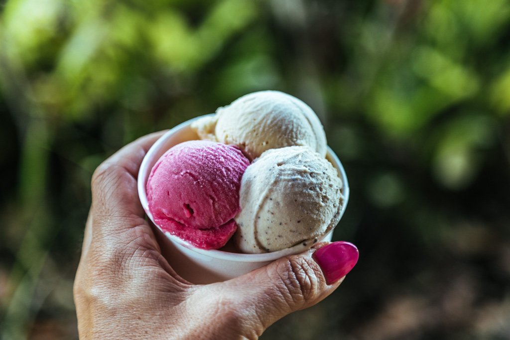 daintree ice cream co