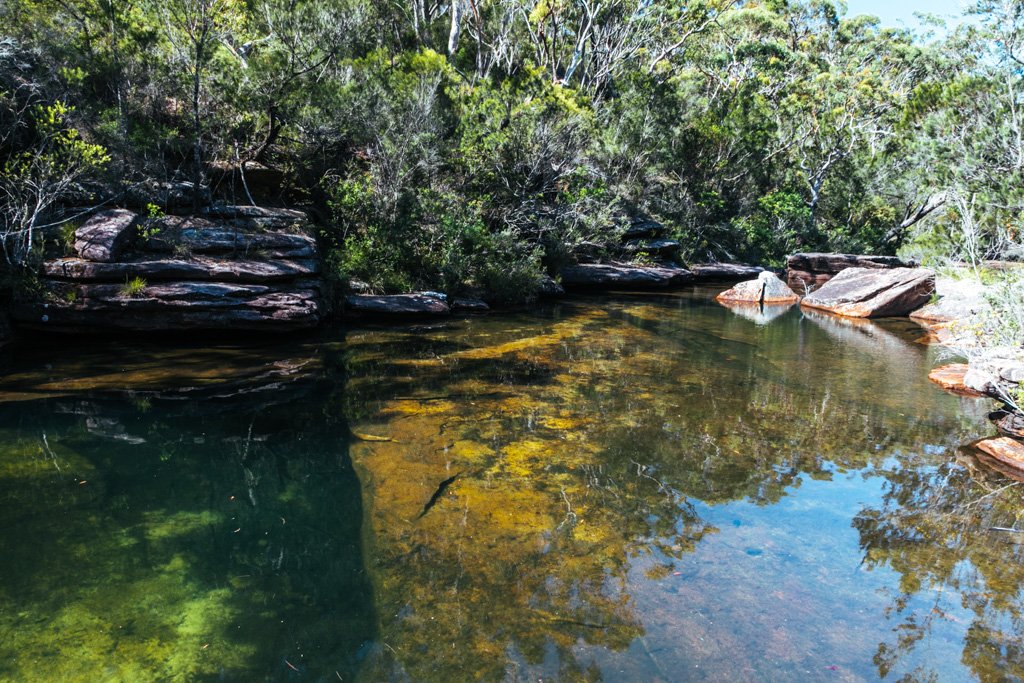 royal national park pool