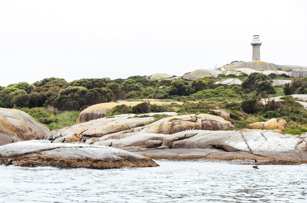 montague island snorkeling