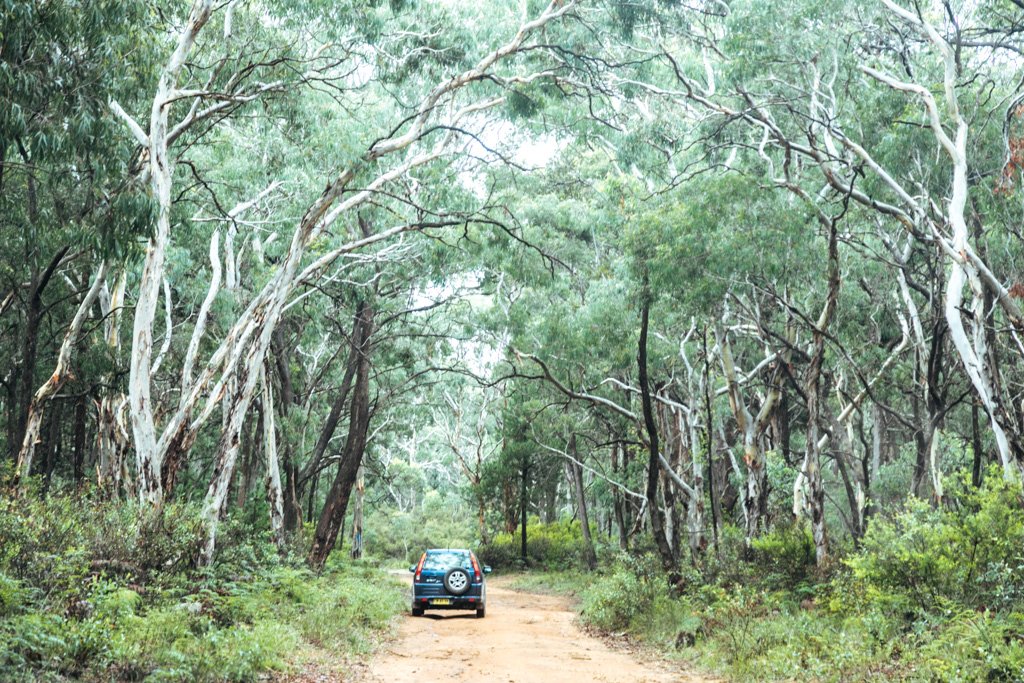 wollemi national park