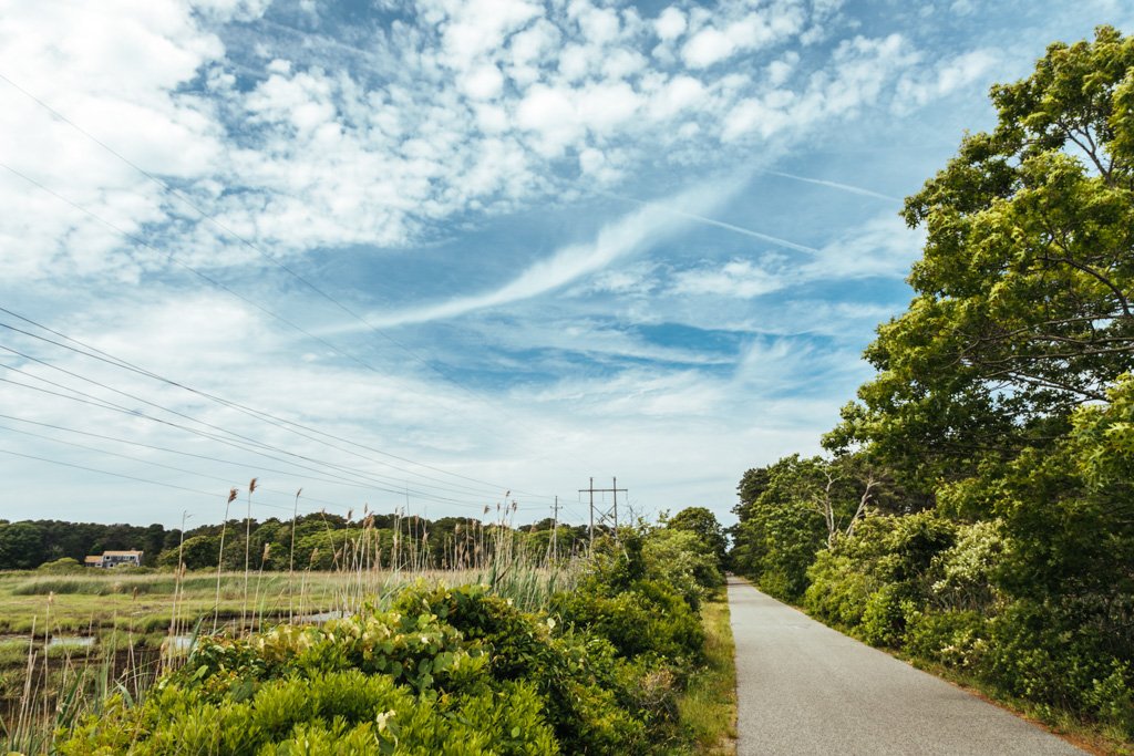 cape cod rail trail