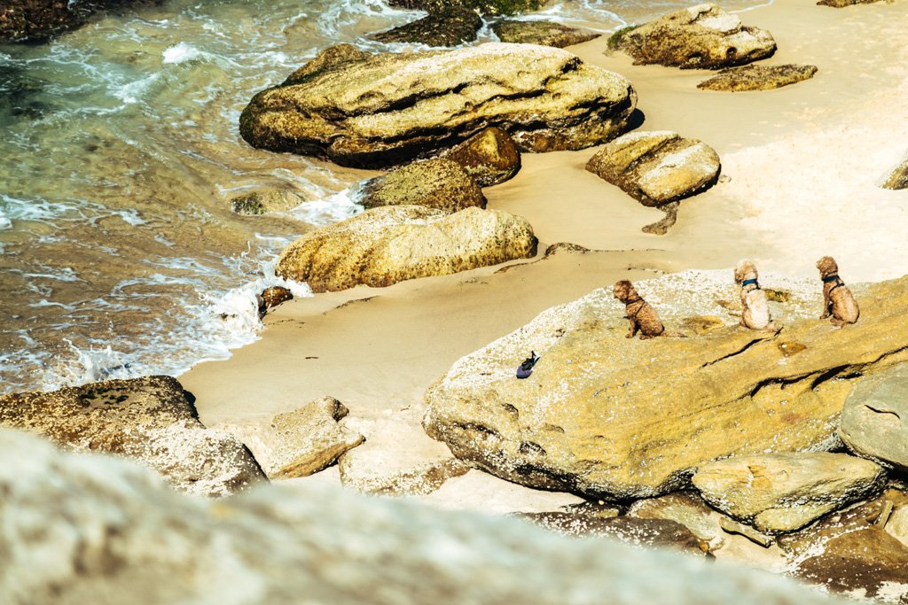 mackenzies bay beach