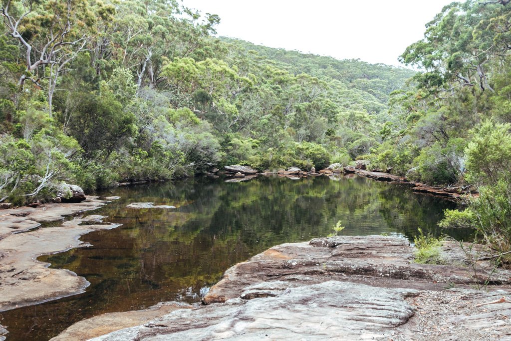 royal national park walks