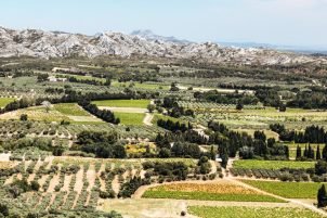 things to do in les baux de provence