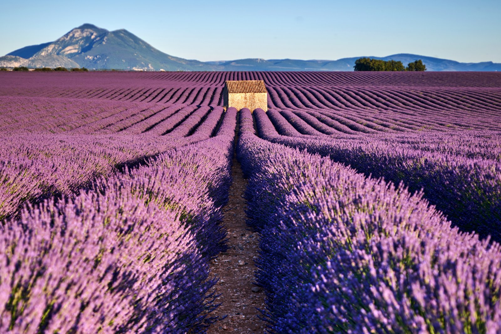 must see provence