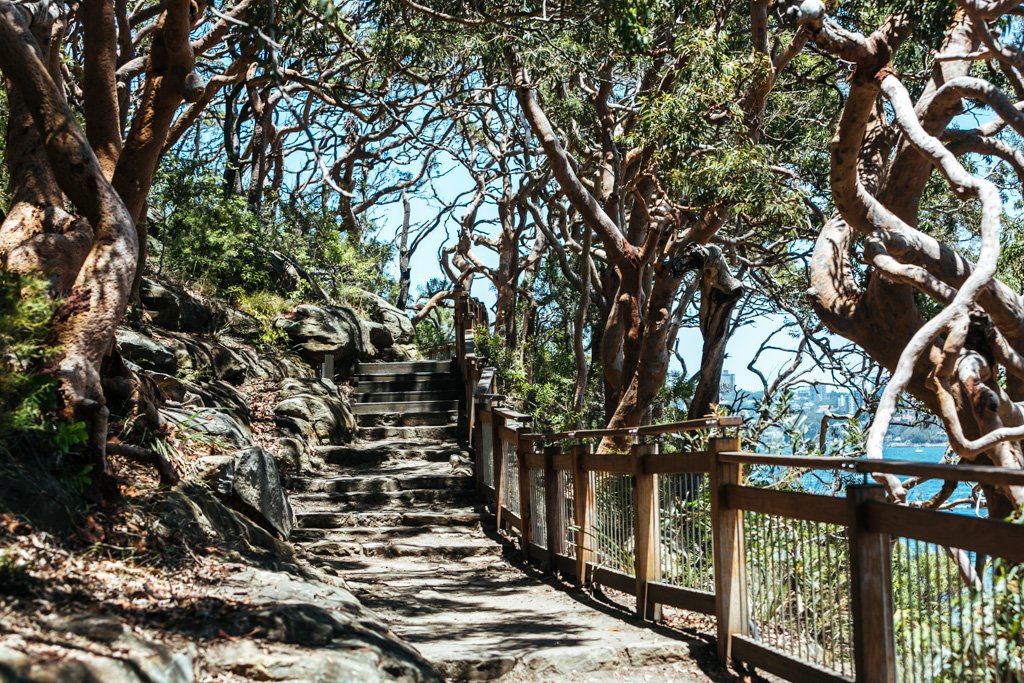 taronga to balmoral walk